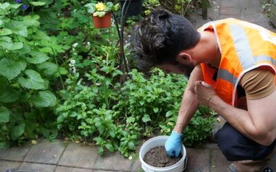 Gratis lood-check bij volkstuinen
