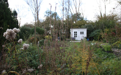 Kweektuin