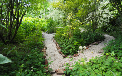 Vlindertuin