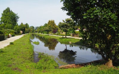 Middensingel