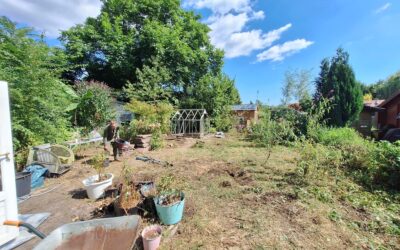 Kweektuin #127