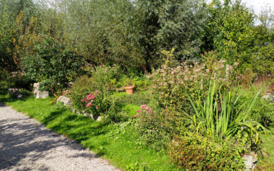 Natuurtuin